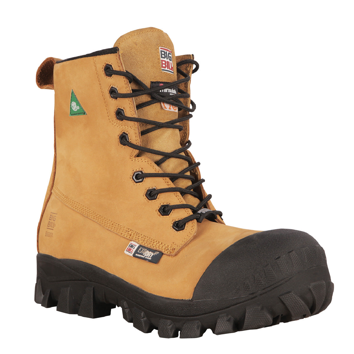 Timberland 4x4 2024